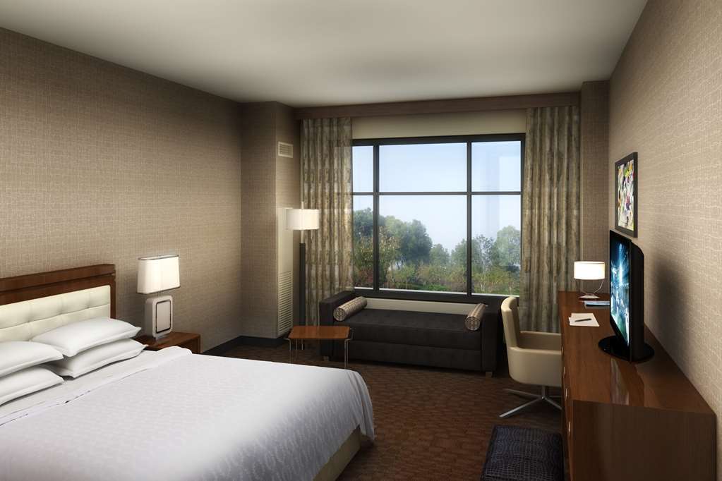 Sheraton Austin Georgetown Hotel & Conference Center Værelse billede